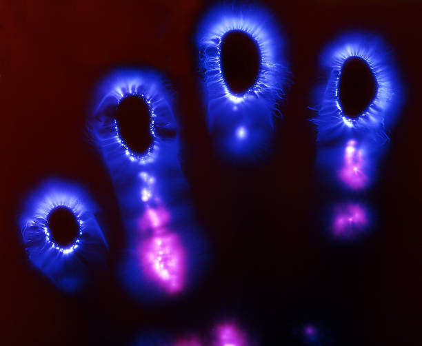 Image of How Can Kirlian photography (Electro-Photography) Tell us about the Health of an Individual?